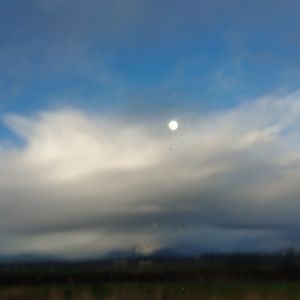 Meet your Posher, Winkie